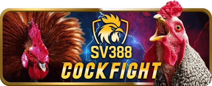 Cá cược Bóng đá SP8BET
